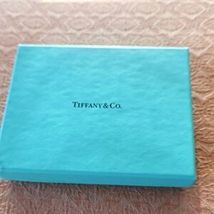 Tiffany & Co. Signature Blue Gift Box